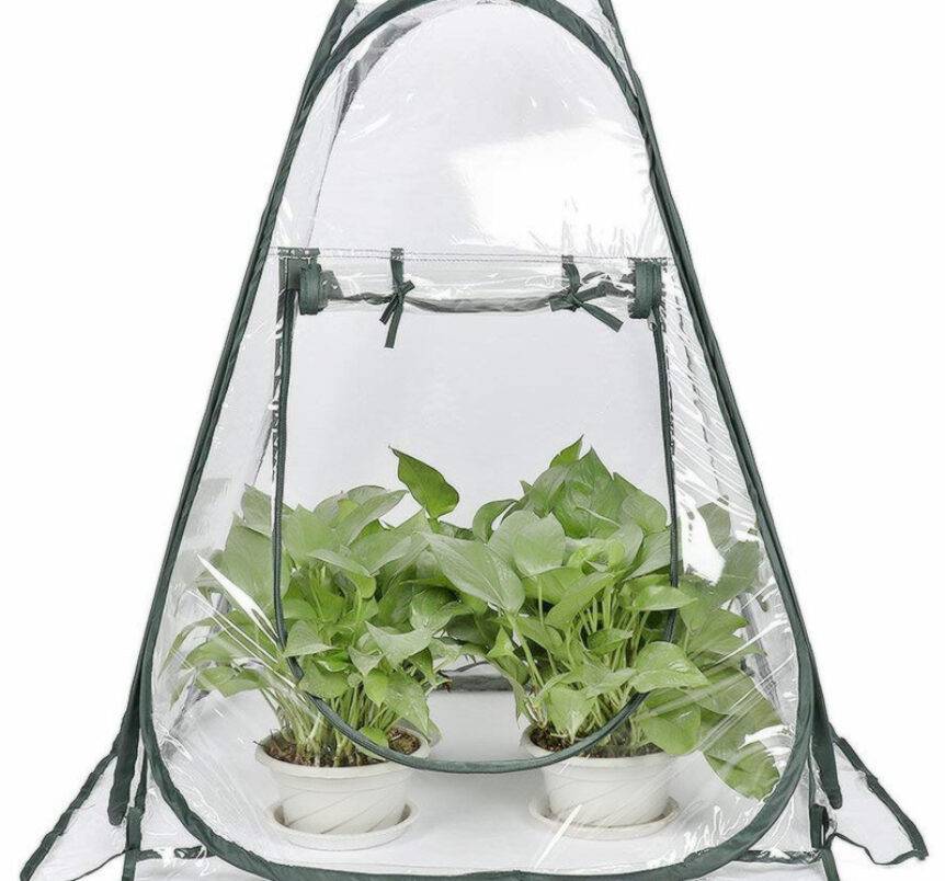 Outdoor Garden Plants Antifreeze Greenhouse