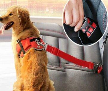 Adjustable Pet Car Seat Belt Pet