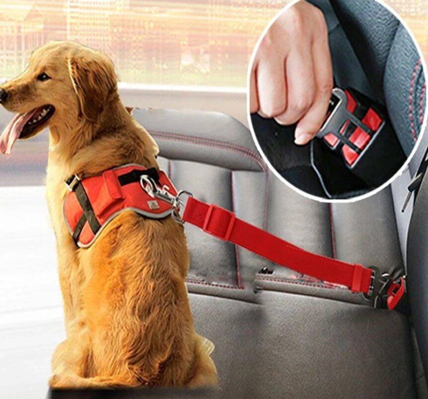 Adjustable Pet Car Seat Belt Pet