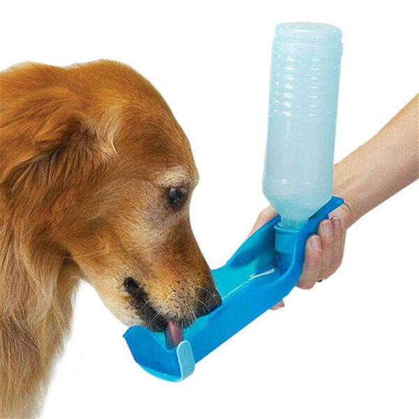 Outdoor Water Tray For Dogs - Image 4